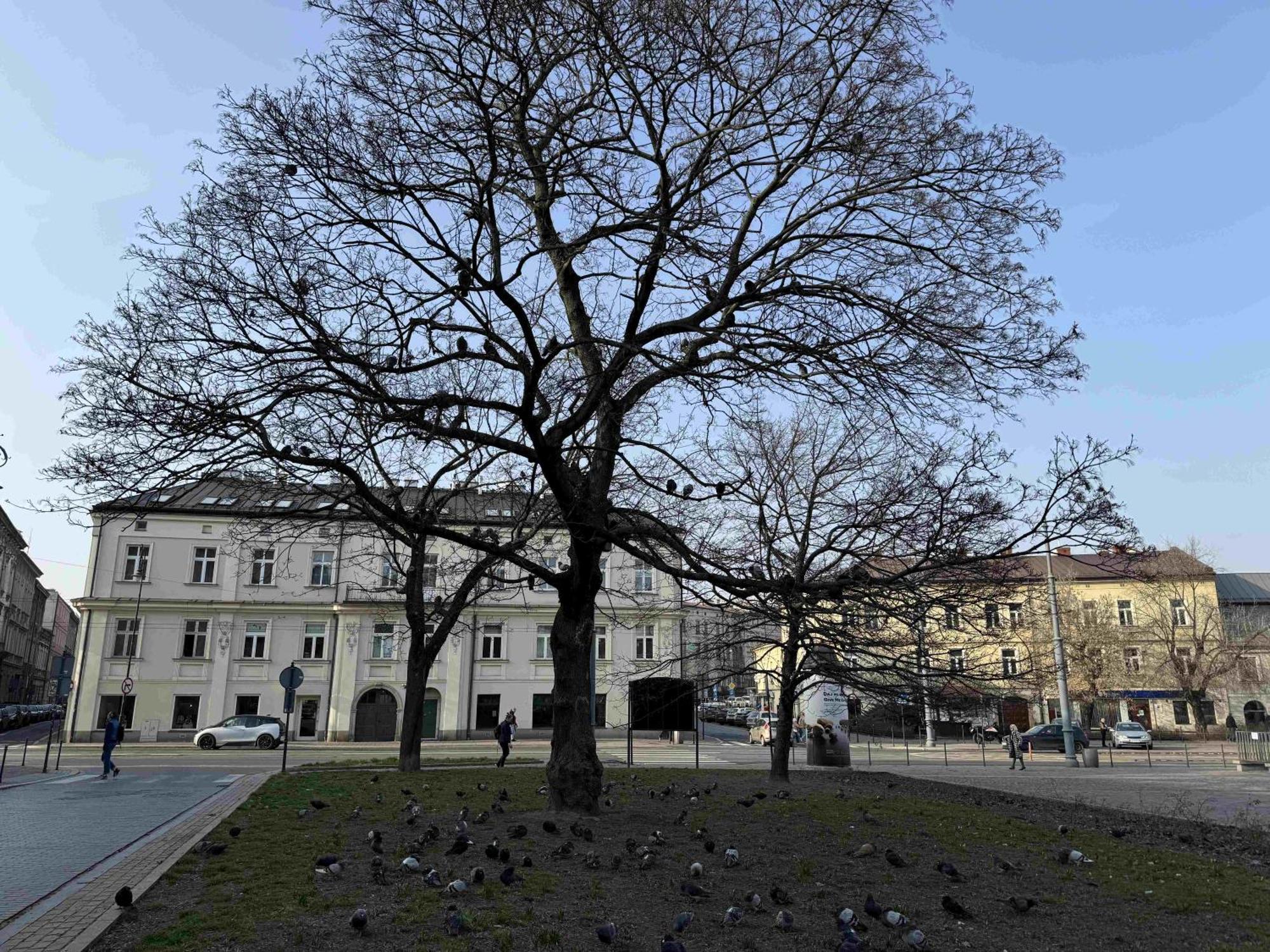 Art Apartment Stare Podgorze Free Parking Krakow Dış mekan fotoğraf